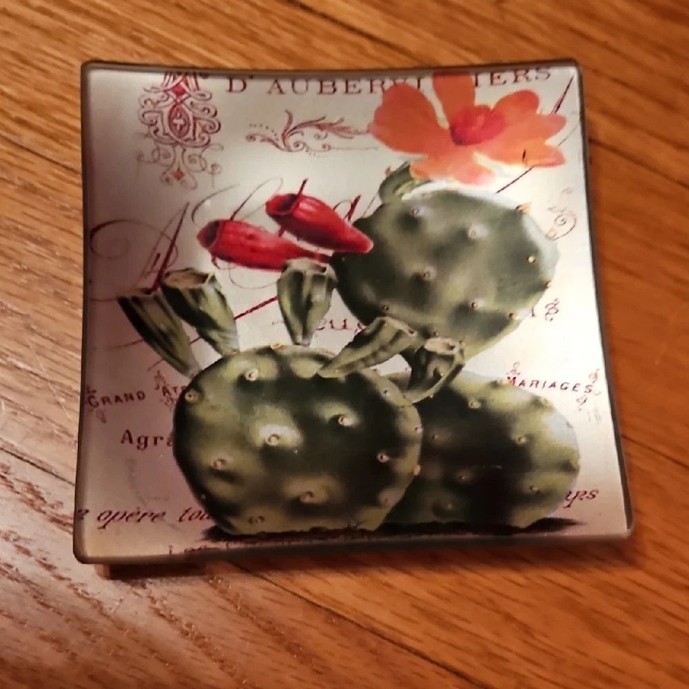 3 Glass Cactus Design Trinket Dishes, Square, 4